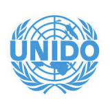 Strategic program to promote renewable energy and energy efficiency investments in the electricity sector of Sao Tome and Principe
