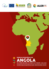 Relatório Nacional do Ponto de Situação de Energias Renováveis em Angola 2022