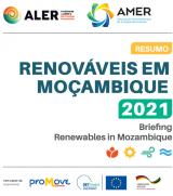 Briefing: Renewables in Mozambique 2021