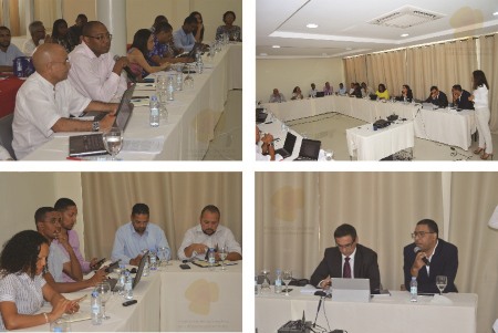 Presentation of the tender model for independent power producers renewable energy projects in Cape Verde