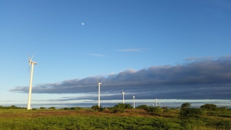 Cabeólica's wind farms saved 53,600 tons of CO2 in 2019