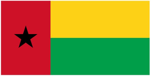 Guinea-Bissau: Telectrinf and local partner win tender to instal a photovoltaic power plant on the Bolama Island