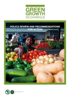 Relatório do BAfD recomenda criação de um Fundo de Investimento Verde em Moçambique
