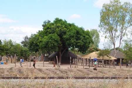 Village in Mozambique gets access to sustainable energy