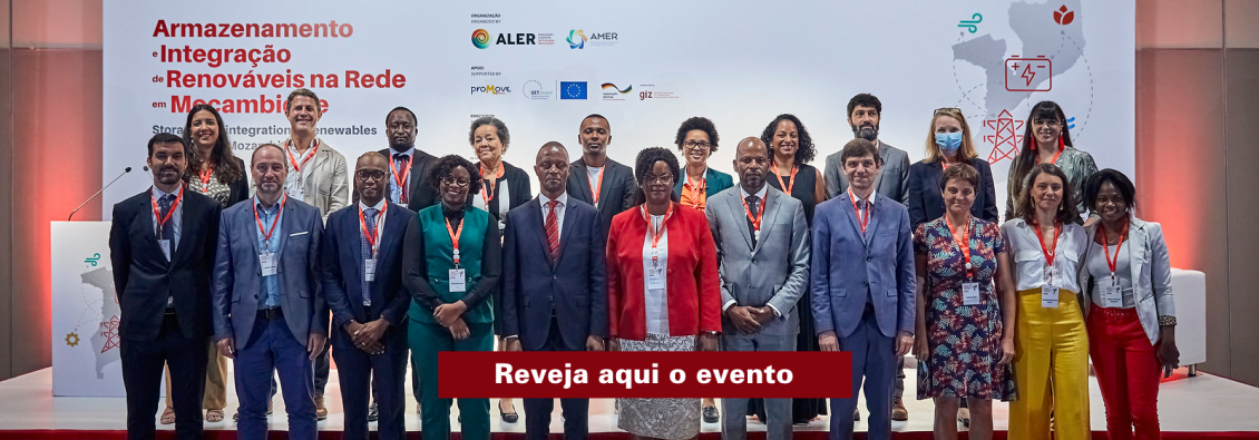 Armazenamento e Integração de Renováveis na Rede em Moçambique'