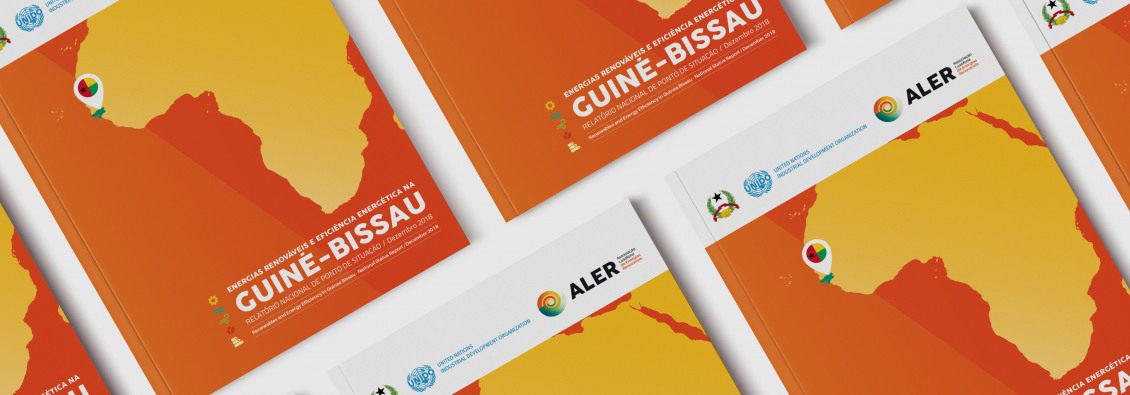 Relatório Nacional de Ponto de Situação das Energias Renováveis e Eficiência Energética na Guiné-Bissau